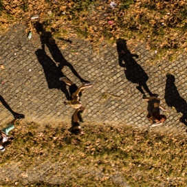 Aerial view photo of people walking.